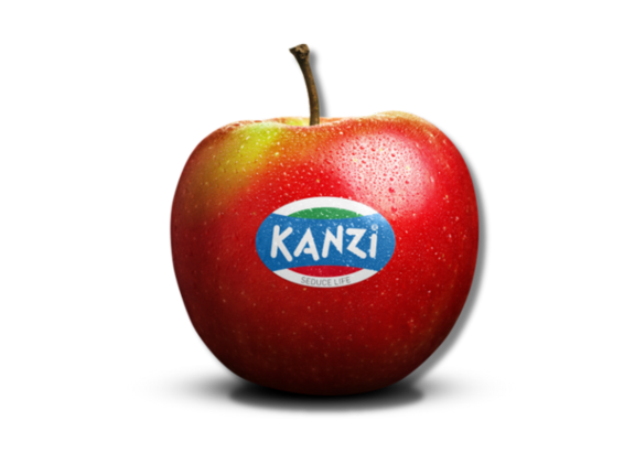 kanzi.png