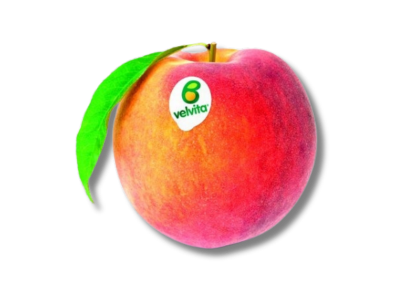 velvita-2.png