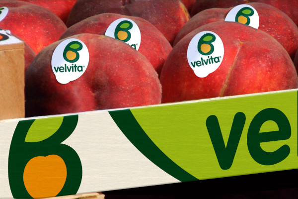 Ροδάκινα velvita