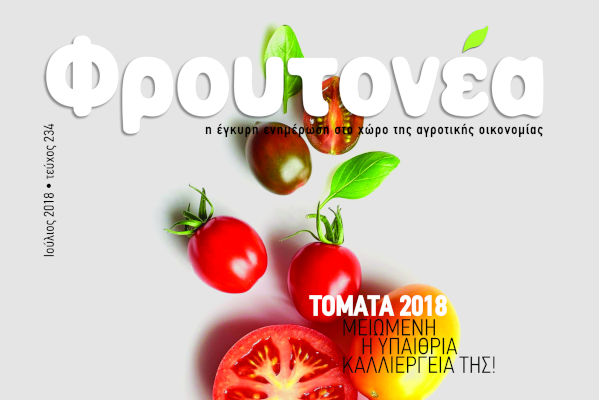 Φρουτονέα